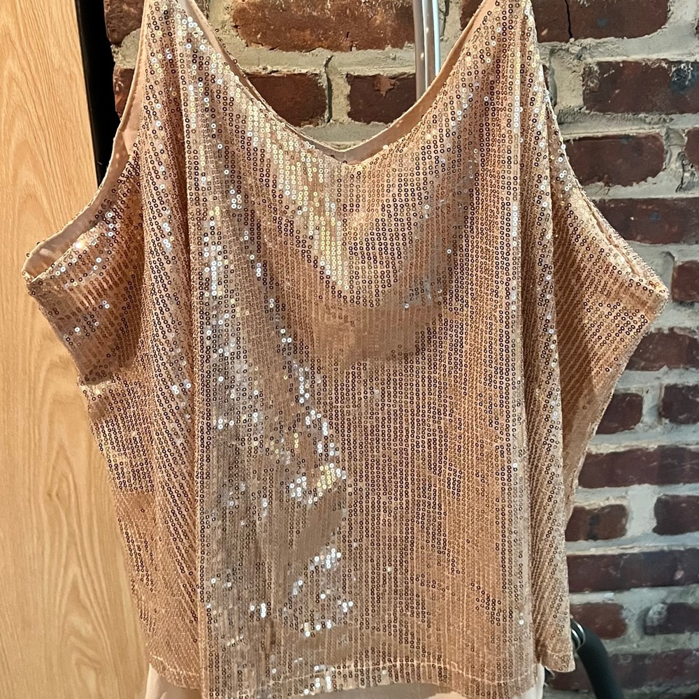 Sequin Beige Top
